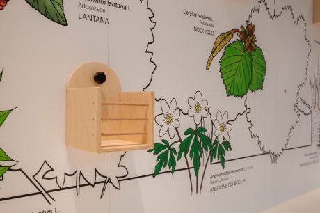 Uno Spazio per Flora e Sottosuolo a Ranica