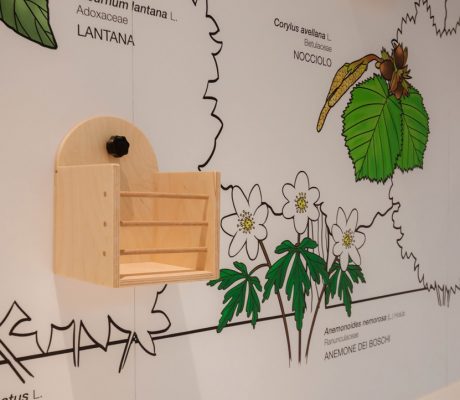 Uno Spazio per Flora e Sottosuolo a Ranica