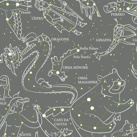 Le Costellazioni del Cielo Boreale