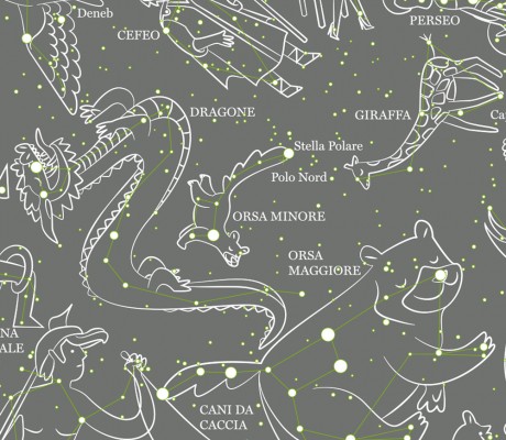 Le Costellazioni del Cielo Boreale